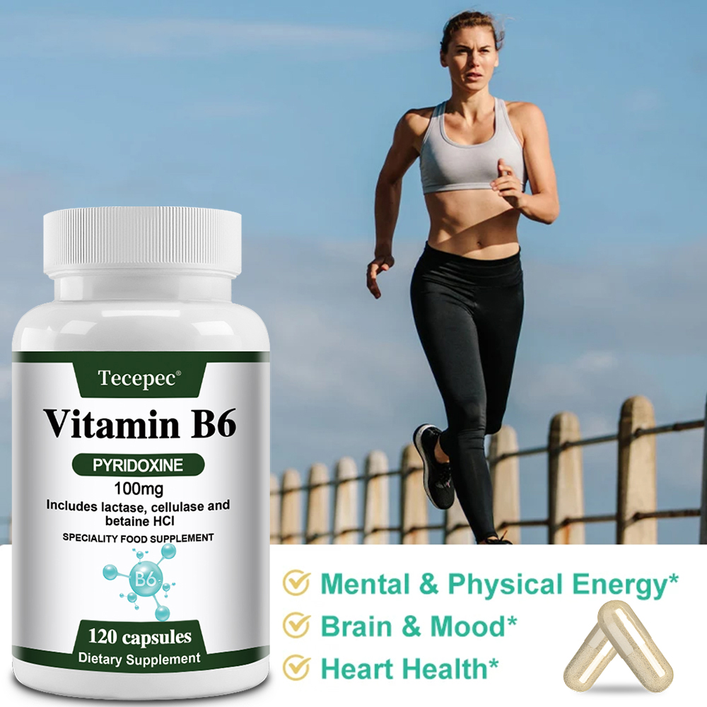 Cápsulas de Vitamina B6, Suple - Hair Care Capsule avaliação e preço